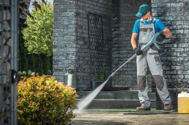 Best Gutter Cleaning  in Jasper, AL